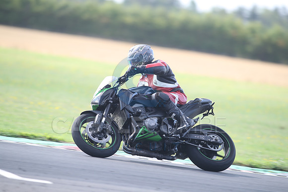 BIKES 1355