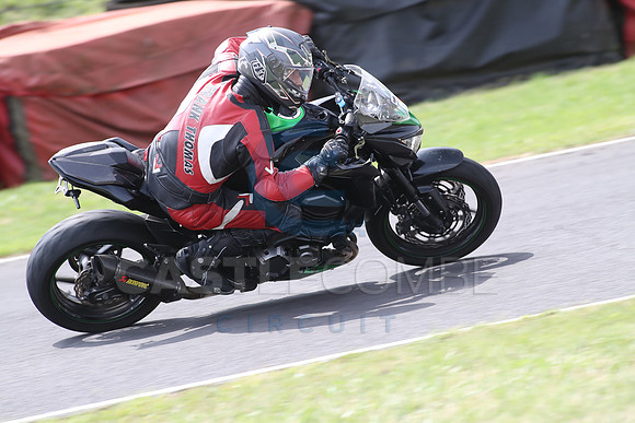 BIKES 1704