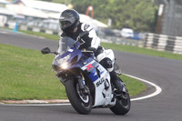 BIKES 1546