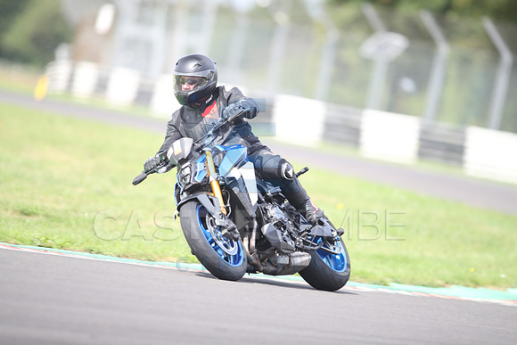 BIKES 1466
