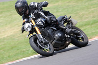 BIKES 0849