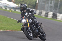 BIKES 1535