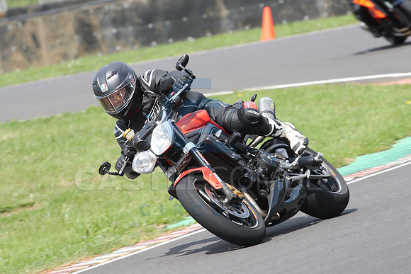 BIKES 0829