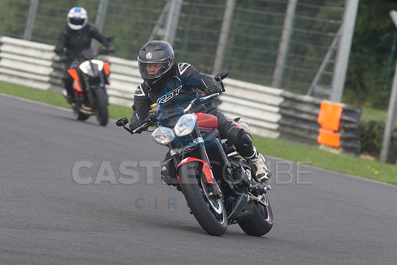BIKES 1537