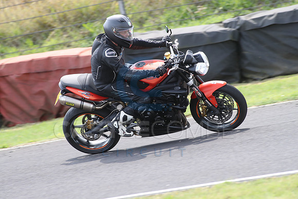 BIKES 1713