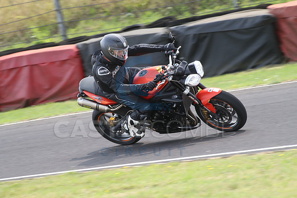 BIKES 1752