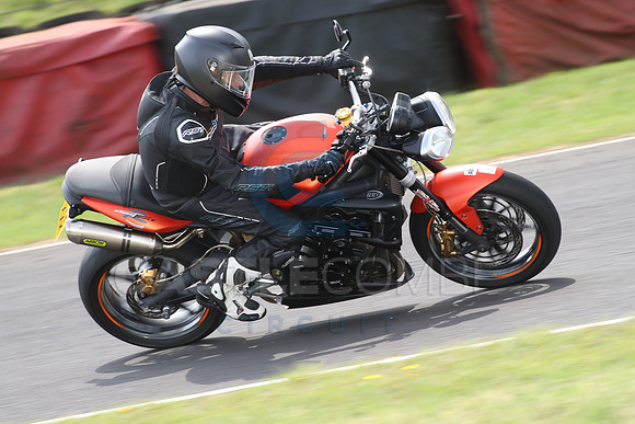 BIKES 1753