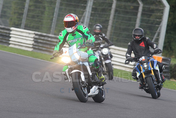 BIKES 1541