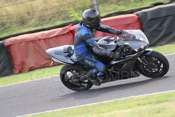 BIKES 1684