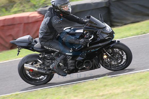 BIKES 1688