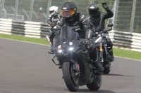 BIKES 1631