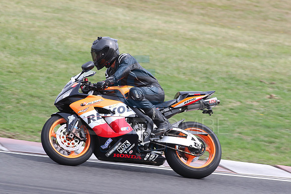 BIKES 2317