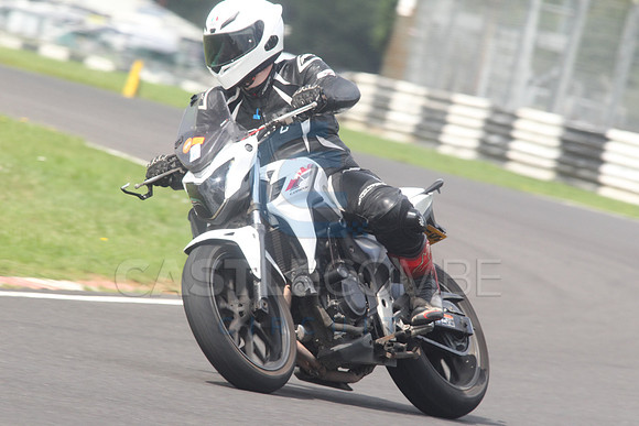 BIKES 1598
