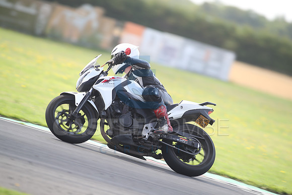 BIKES 1386