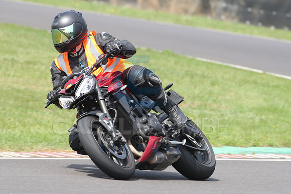 BIKES 0959