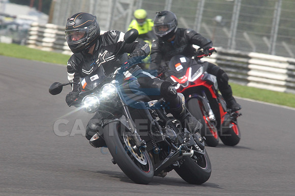 BIKES 1603