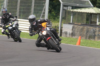BIKES 1610