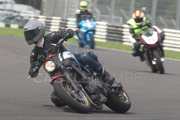 BIKES 1612