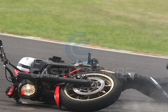 BIKES 1617