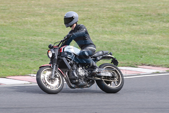 BIKES 2321