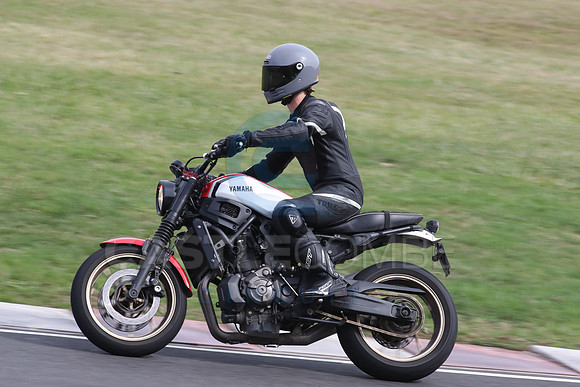 BIKES 2377