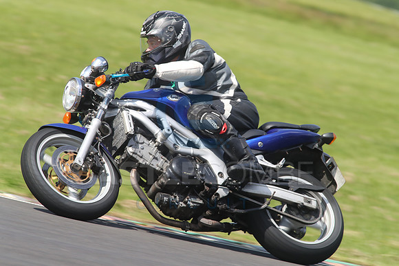 BIKES 1528