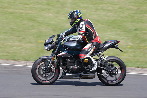 BIKES 1183