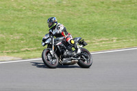 BIKES 1208