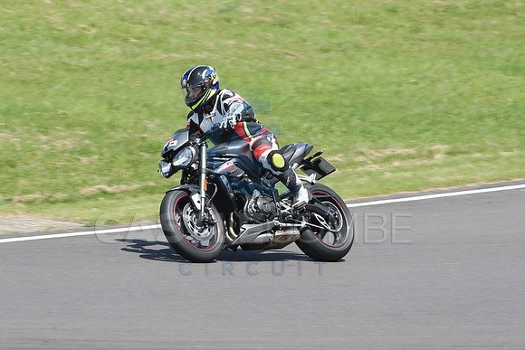 BIKES 1208