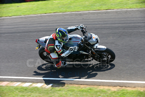 BIKES 2331