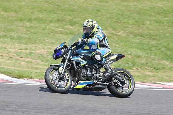 BIKES 1241