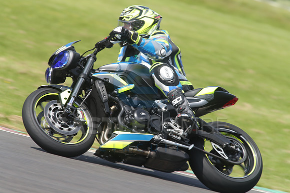 BIKES 1532