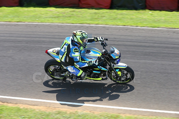 BIKES 2319