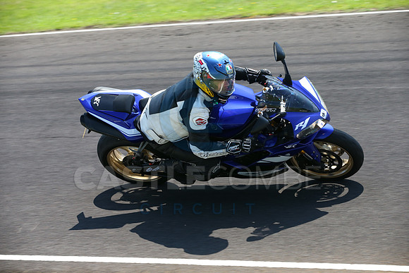 BIKES 2325
