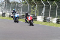 BIKES 1546