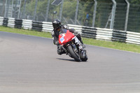 BIKES 1589