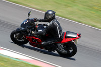 BIKES 1315