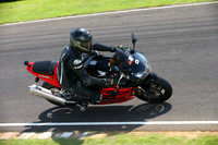 BIKES 2358