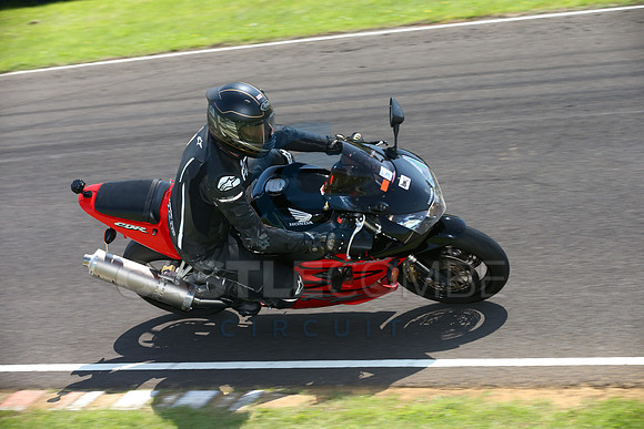 BIKES 2358