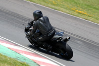 BIKES 1336