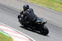 BIKES 1351