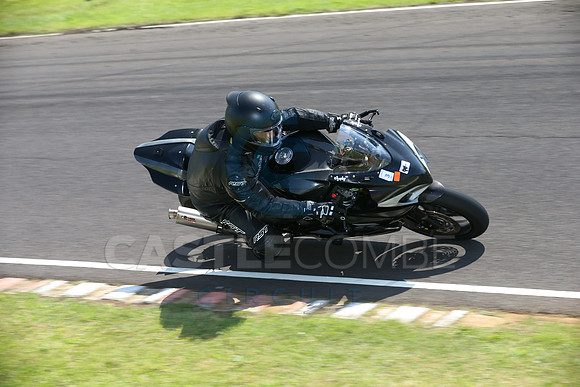 BIKES 2360