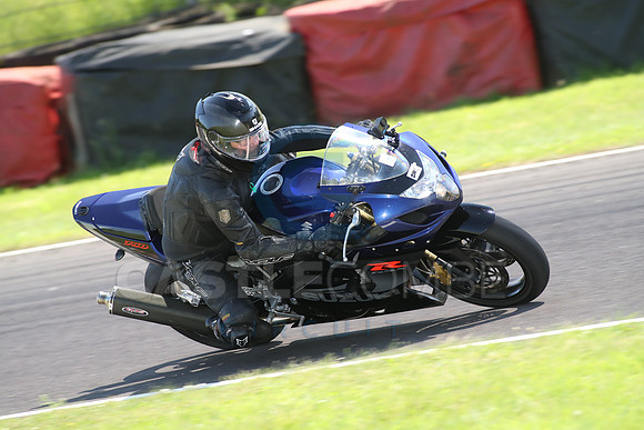 BIKES 2131