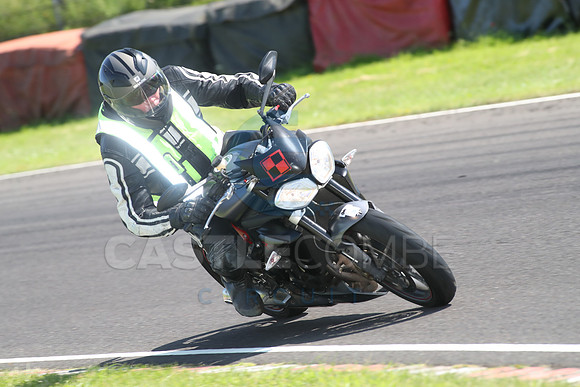 BIKES 2146