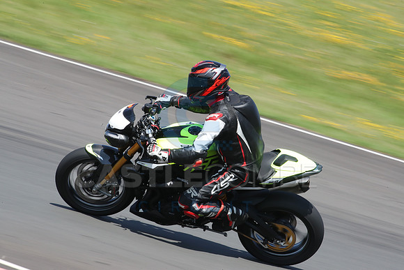 BIKES 1308