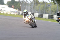 BIKES 1629