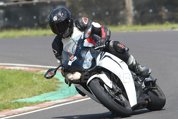 BIKES 0817