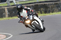 BIKES 0852