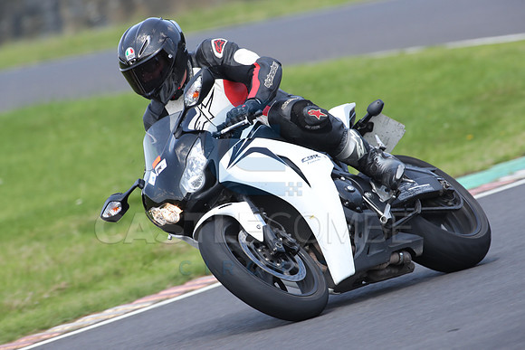 BIKES 0874