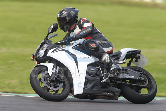 BIKES 1673